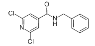 N4-苄基-2,6-二氯异烟酰胺-CAS:182224-71-1