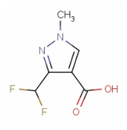 3-(二氟甲基)-1-甲基-1H-吡唑-4-羧酸-CAS:176969-34-9