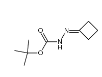 叔-丁基 2-环亚丁基肼甲酸基酯-CAS:158001-20-8