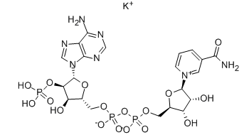 beta-烟酰胺腺嘌呤二核苷酸磷酸单钾盐-CAS:68141-45-7