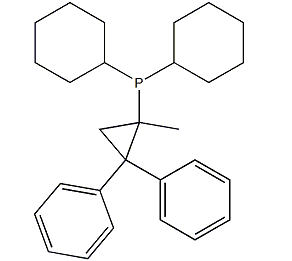 (1-甲基-2,2-二苯基环丙基)二环己基膦-CAS:1023330-38-2
