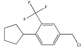 4-氯甲基-1-环戊基-2-三氟甲基苯-CAS:957208-65-0