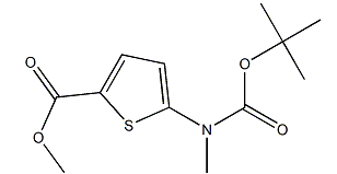 5-[(叔丁氧羰基)甲氨基]噻吩-2-羧酸甲酯-CAS:1174316-17-6