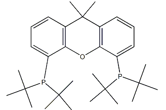(9,9-二甲基-9H-呫吨-4,5-二基)双(二叔丁基膦)-CAS:856405-77-1