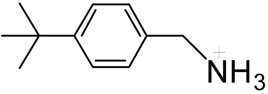 4-叔丁基苯甲基碘化胺-CAS:2366873-27-8