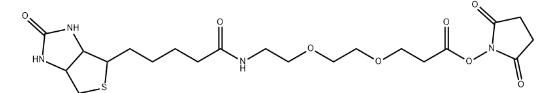 9-(生物素氨基)-4,7-二氧杂壬酸N-琥珀酰亚胺酯-CAS:596820-83-6