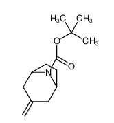 3-亚甲基-8-氮杂双环[3.2.1]辛烷-8-羧酸叔丁酯-CAS:273207-57-1