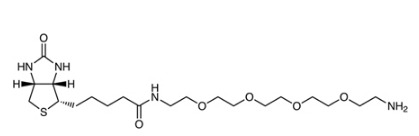 生物素-PEG4-胺-CAS:663171-32-2