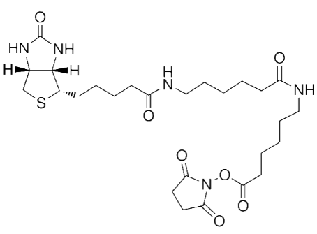 N-[6-(生物素氨基)己酰基]-6-氨基己酸N-琥珀酰亚胺酯-CAS:89889-52-1