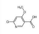 6-氯-4-甲氧基烟酸-CAS:716362-10-6