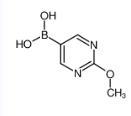 2-甲氧基嘧啶-5-硼酸-CAS:628692-15-9