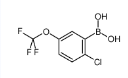 2-氯-5-(三氟甲氧基)苯硼酸-CAS:1022922-16-2