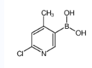 2-氯-4-甲基吡啶-5-硼酸-CAS:913836-08-5
