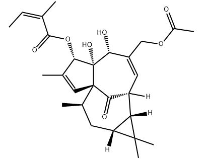 巨大戟醇-3-O-当归酸-20-乙酸酯-CAS:82425-35-2