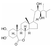 2,4-表油菜素内酯（天丰素）-CAS:78821-43-9