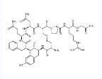 精氨加压素-CAS:113-79-1