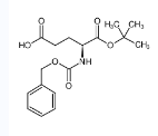 Z-谷氨酸叔丁基酯-CAS:5891-45-2