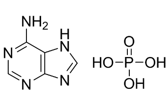 腺嘌呤磷酸盐-CAS:52175-10-7