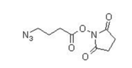 4-叠氮丁酸琥珀酰亚胺酯-CAS:943858-70-6 