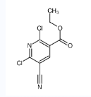 2,6-二氯-5-氰基烟酸乙酯-CAS:919354-52-2