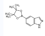 1H-吲唑-5-硼酸频哪醇酯-CAS:862723-42-0