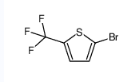2-溴-5-(三氟甲基)噻吩-CAS:143469-22-1