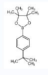 4-叔丁基苯硼酸频那醇酯-CAS:214360-66-4