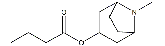 3-Butyryloxytropane-CAS:19038-34-7