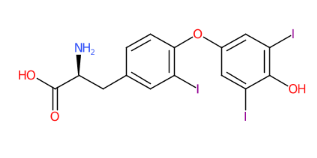 3,3',5'-三碘- L -甲状腺氨酸-CAS:5817-39-0