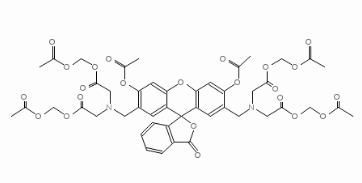 钙黄绿素乙酰氧基甲酯-CAS:148504-34-1