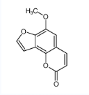 6-甲氧基-2H-呋喃[2,3-h]苯并吡喃-2-酮-CAS:483-66-9