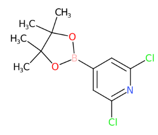 2,6-二氯吡啶-4-硼酸频哪醇酯-CAS:408492-27-3