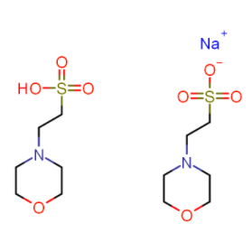吗啉乙磺酸半钠盐-CAS:117961-21-4