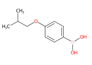 4-异丁氧基苯基硼酸-CAS:153624-44-3