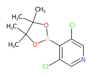 3,5-二氯-4-(4,4,5,5-四甲基-1,3,2-二氧硼杂环戊烷-2-基)吡啶-CAS:1257641-28-3