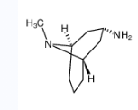 内向-3-氨基-9-甲基-9-氮杂双环[3,3,1]壬烷-CAS:76272-56-5