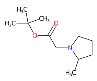 2-(2-甲基-1-吡咯烷基)乙酸叔丁酯-CAS:2015655-98-6