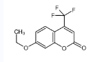 7-乙氧基-4-(三氟甲基)香豆素-CAS:115453-82-2