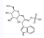 芸苔葡糖硫苷-CAS:4356-52-9