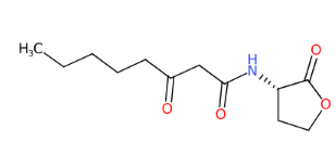 (S)-4-氧代-N-(2-氧代四氢呋喃-3-基)壬酰胺-CAS:147795-39-9