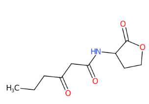 3-氧代-N-(2-氧代四氢呋喃-3-基)己酰胺-CAS:76924-95-3