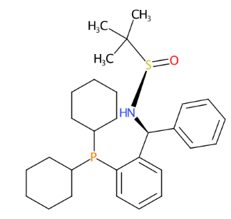 [S(R)]-N-[(S)-[2-(二环己基膦)苯基]苯甲基]-2-叔丁基亚磺酰胺-CAS:1595319-99-5