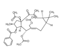 千金子素L7B-CAS:93550-95-9