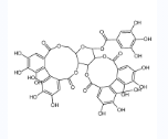 木麻黄鞣亭 ≥98%-CAS:79786-00-8