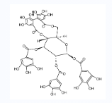 新唢呐草素 II-CAS:81571-72-4