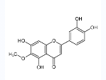 泽兰黄酮-CAS:520-11-6