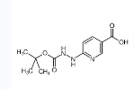 6-(2-(叔丁氧基羰基)肼基)烟酸-CAS:133081-25-1