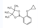 2-(2-环丙氧基苯基)-4,4,5,5-四甲基-1,3,2-二氧杂硼烷-CAS:1119090-11-7