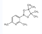 2,6-二甲基-3-(4,4,5,5-四甲基-1,3,2-二氧硼杂环戊烷-2-基)吡啶-CAS:693774-10-6