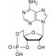 腺苷环磷酸酯-CAS:60-92-4